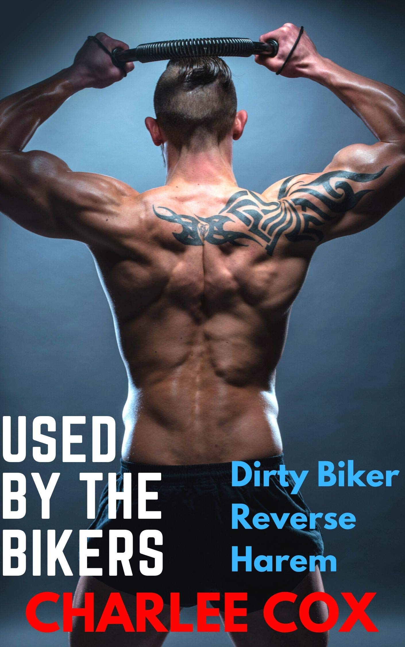 Used by the Bikers (Dirty Bikers Reverse Harem Ganged Erotica)