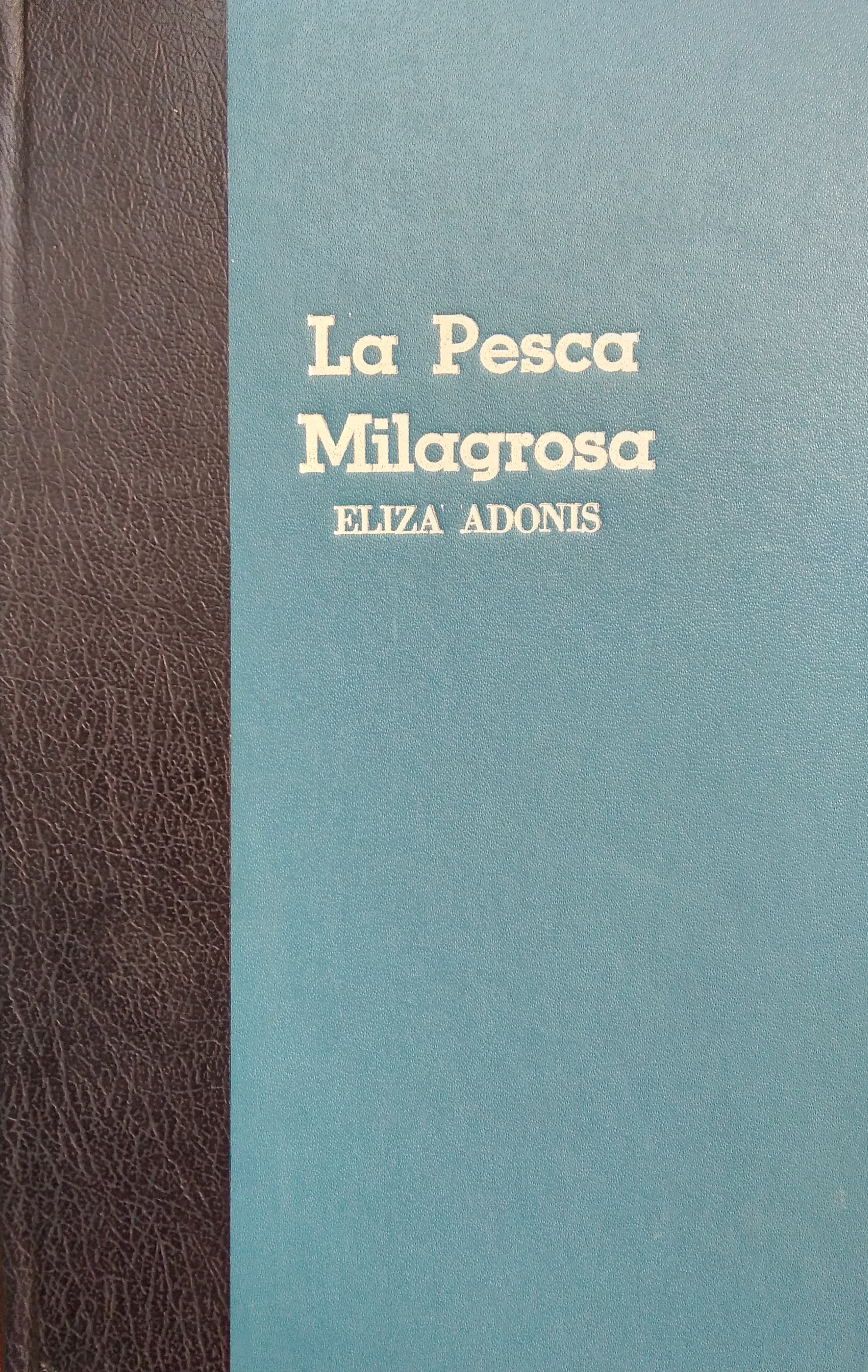 La pesca milagrosa