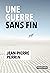 Une guerre sans fin by Jean-Pierre Perrin