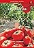 La Tomatina (Culture Reader...
