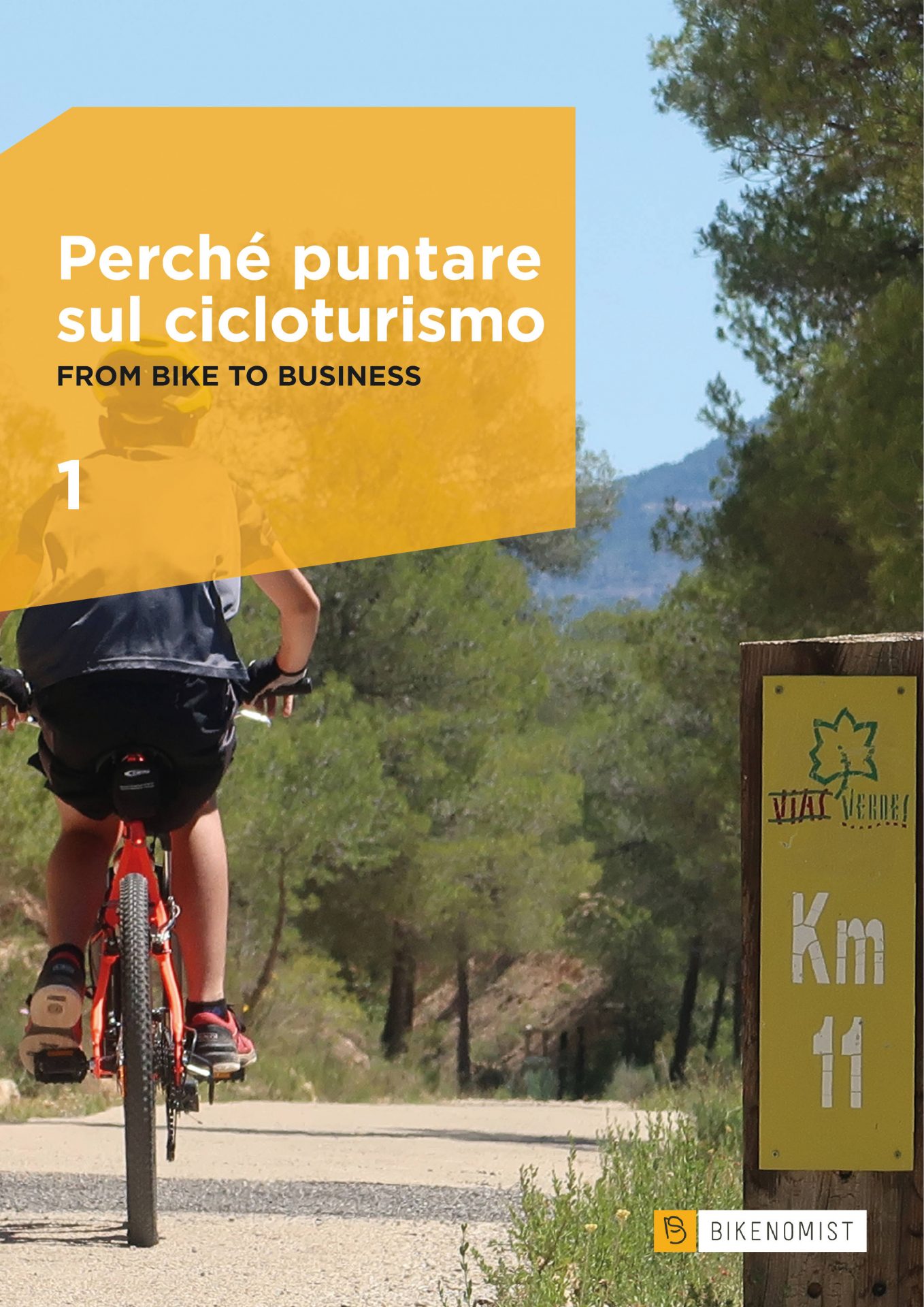 Perché puntare sul cicloturismo: From bike to business (ebook)