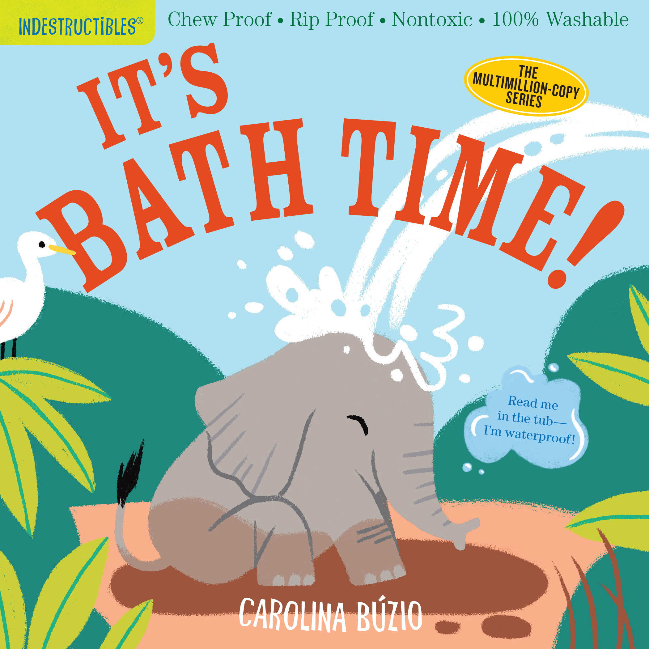 It's Bath Time! Indestructibles (Paperback)