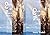Oath of Peace: A Story of C...