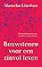 Bouwstenen voor een zinvol leven  by Marsha M. Linehan
