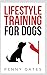 Lifestyle Training For Dogs