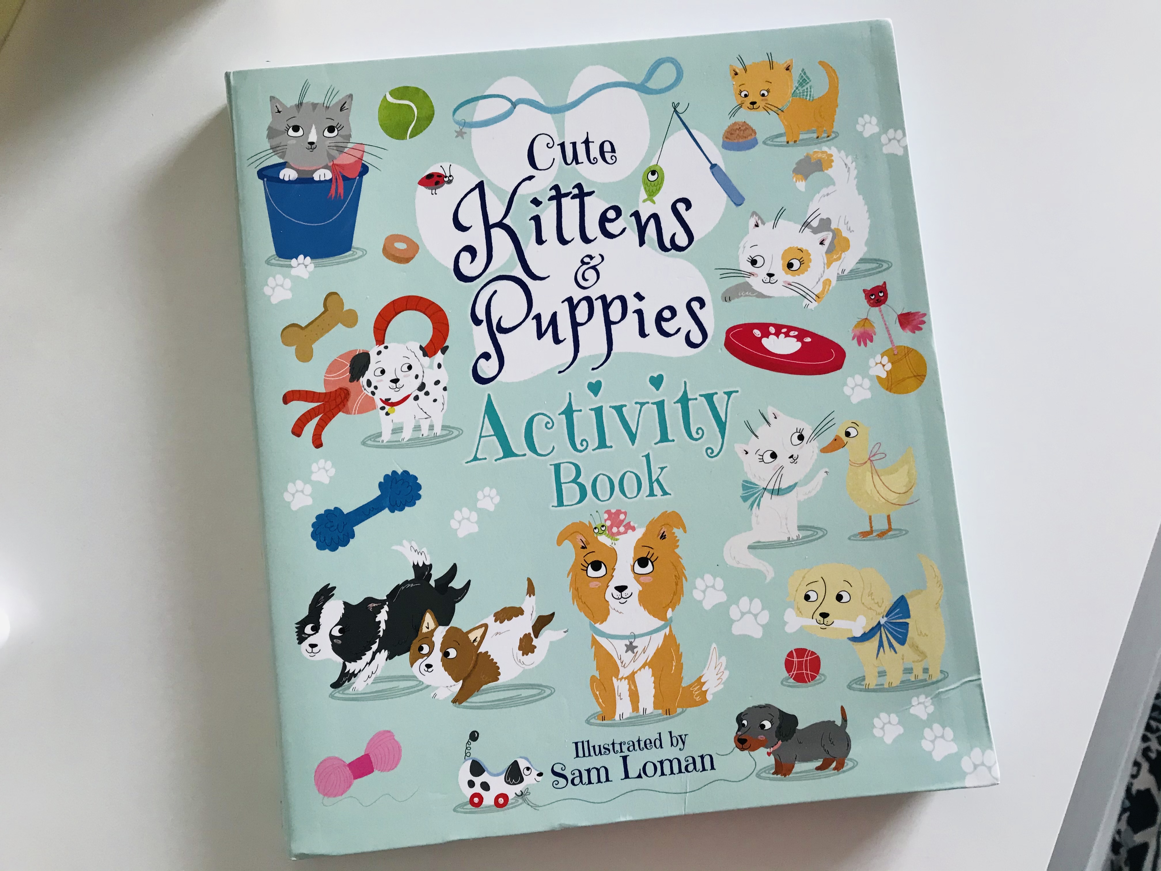Cute kittens & puppies activity book