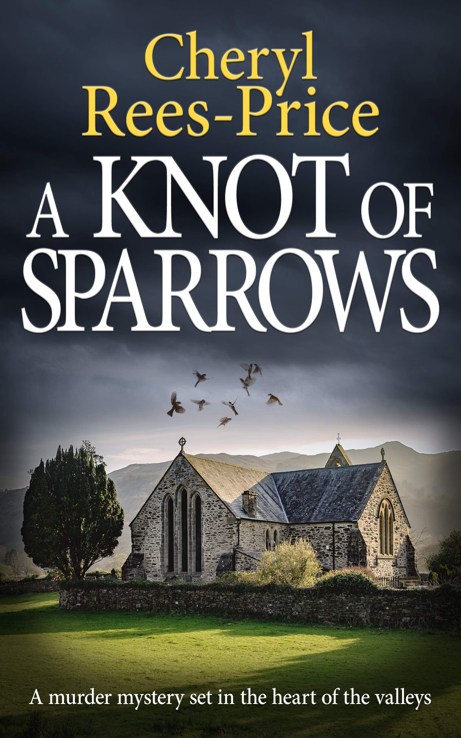 A Knot of Sparrows (DI Winter Meadows, #4)