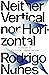 Neither Vertical nor Horizontal: A Theory of Political Organization