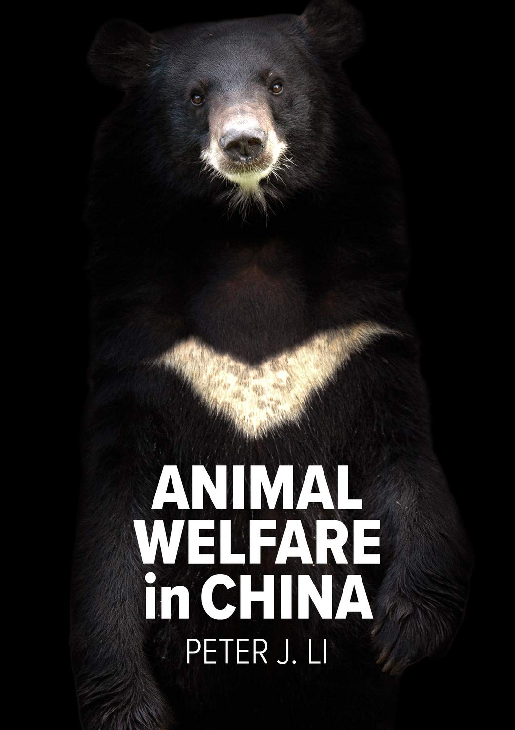 Animal Welfare in China: Culture, Politics and Crisis (Animal Publics)