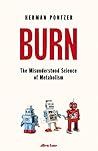 Burn: The Misunde...