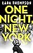 One Night, New York
