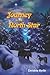 Journey to the North Star