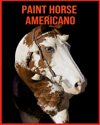 Paint Horse Americano: Immagini bellissime e fatti interessanti Libro per bambini sui Paint Horse Americano
