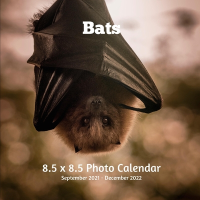 Bats Schedule 2022 Bats 8.5 X 8.5 Photo Calendar September 2021 -December 2022: Monthly  Calendar With U.s./Uk/ Canadian/Christian/Jewish/Muslim Holidays-Animals  Nature By Lynne Book Press