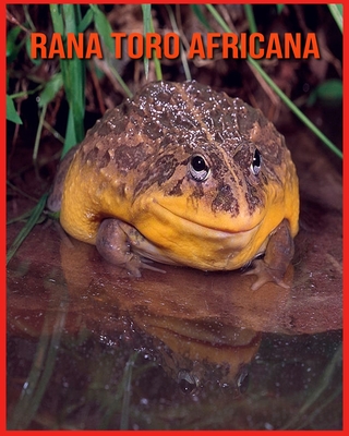 Rana Toro Africana: Rana Toro Africana Affascinanti Fatti per i bambini con immagini mozzafiato!