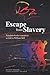 Escape from Slavery by William Still