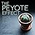 The Peyote Effect: From the Inquisition to the War on Drugs