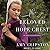 The Beloved Hope Chest (The Amish Heirloom Series)