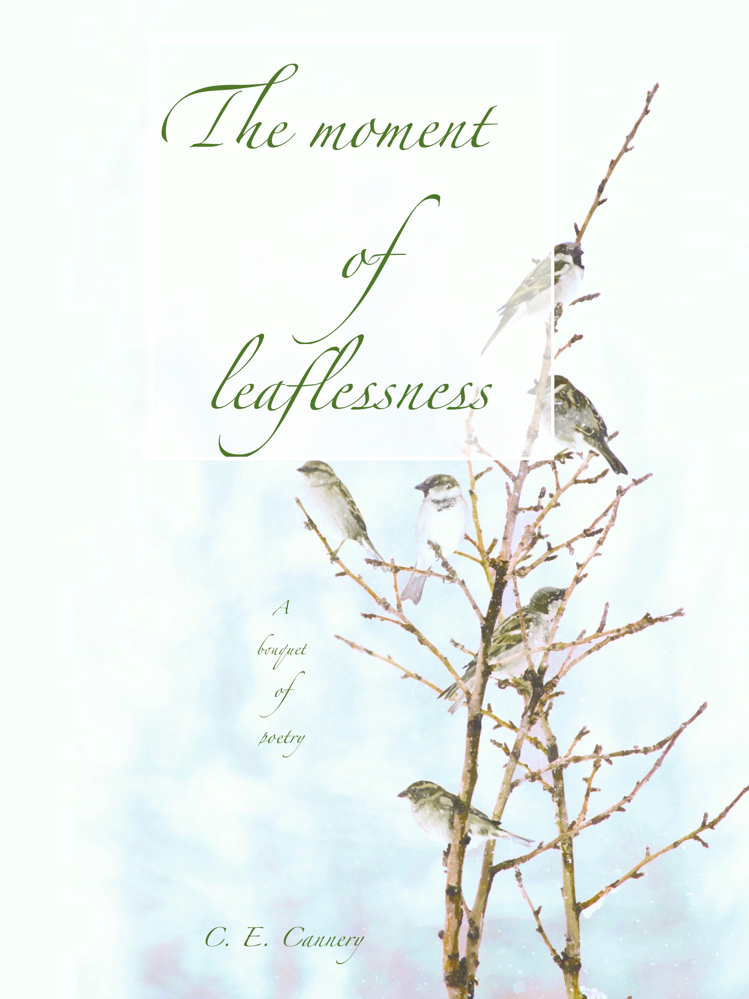 The Moment of Leaflessness: A bouquet of poetry