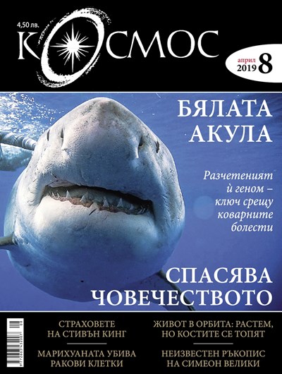 Бялата акула