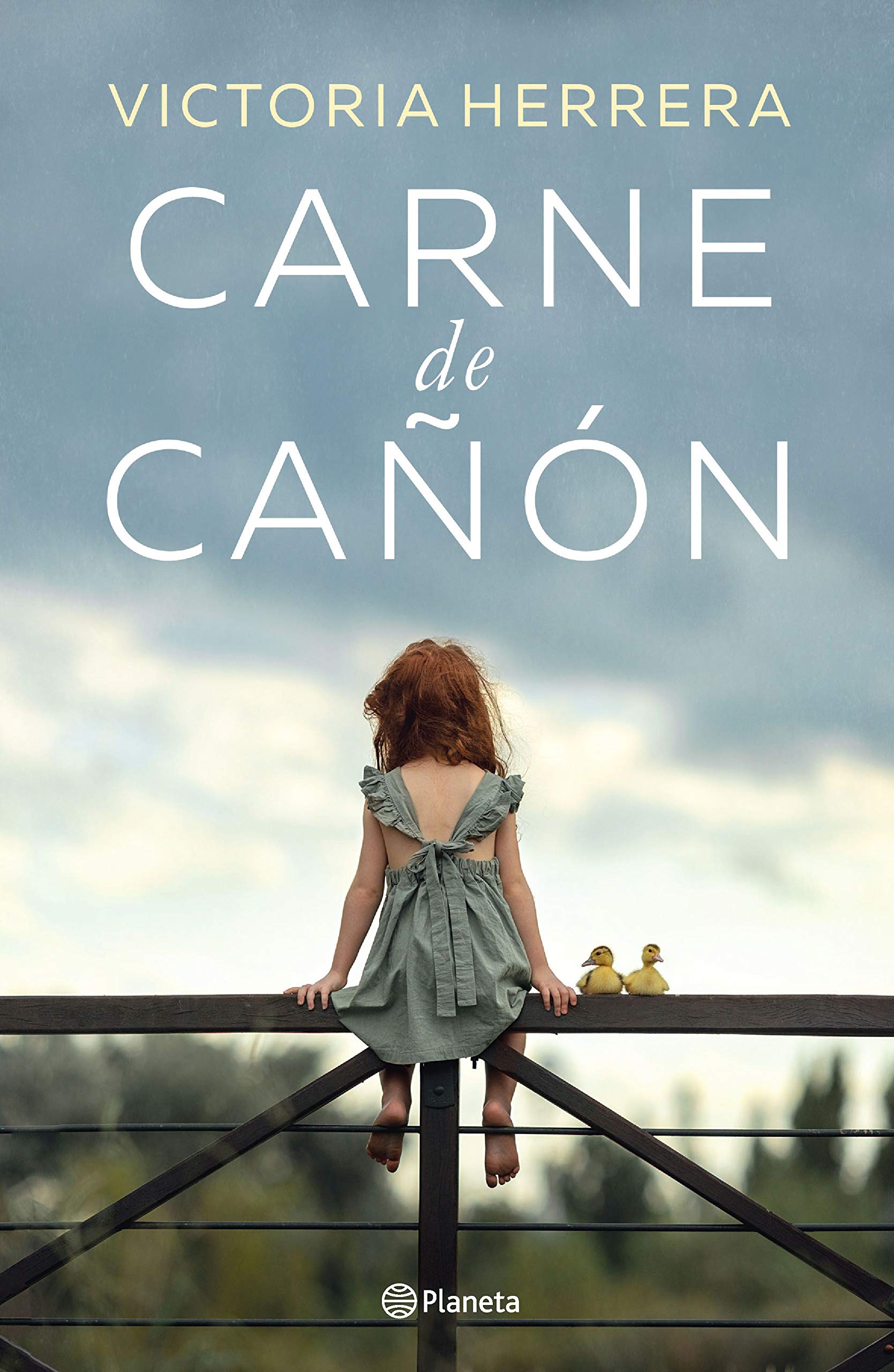 Carne de cañón