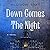Down Comes the Night