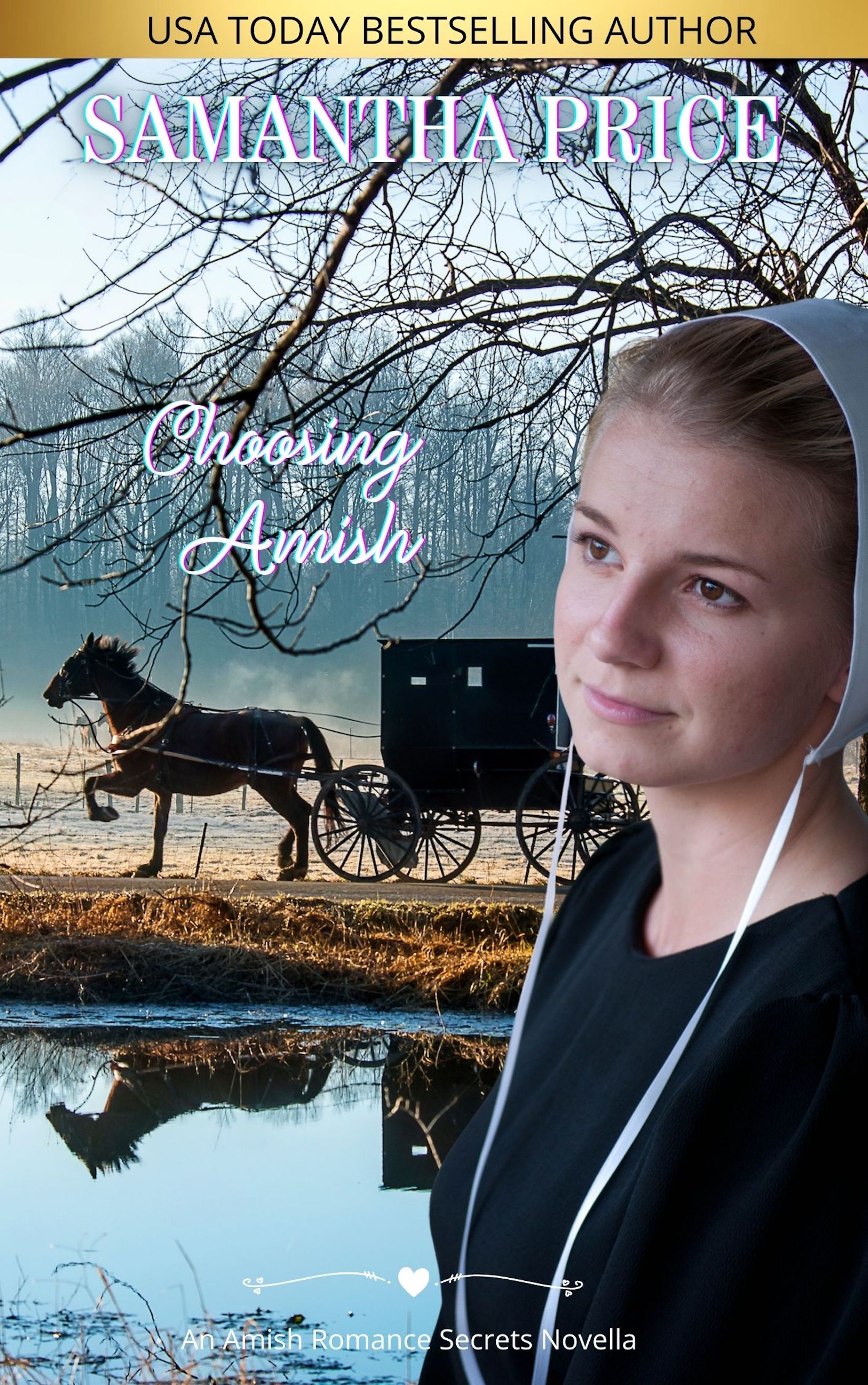 Choosing Amish (Amish Romance Secrets, #6)