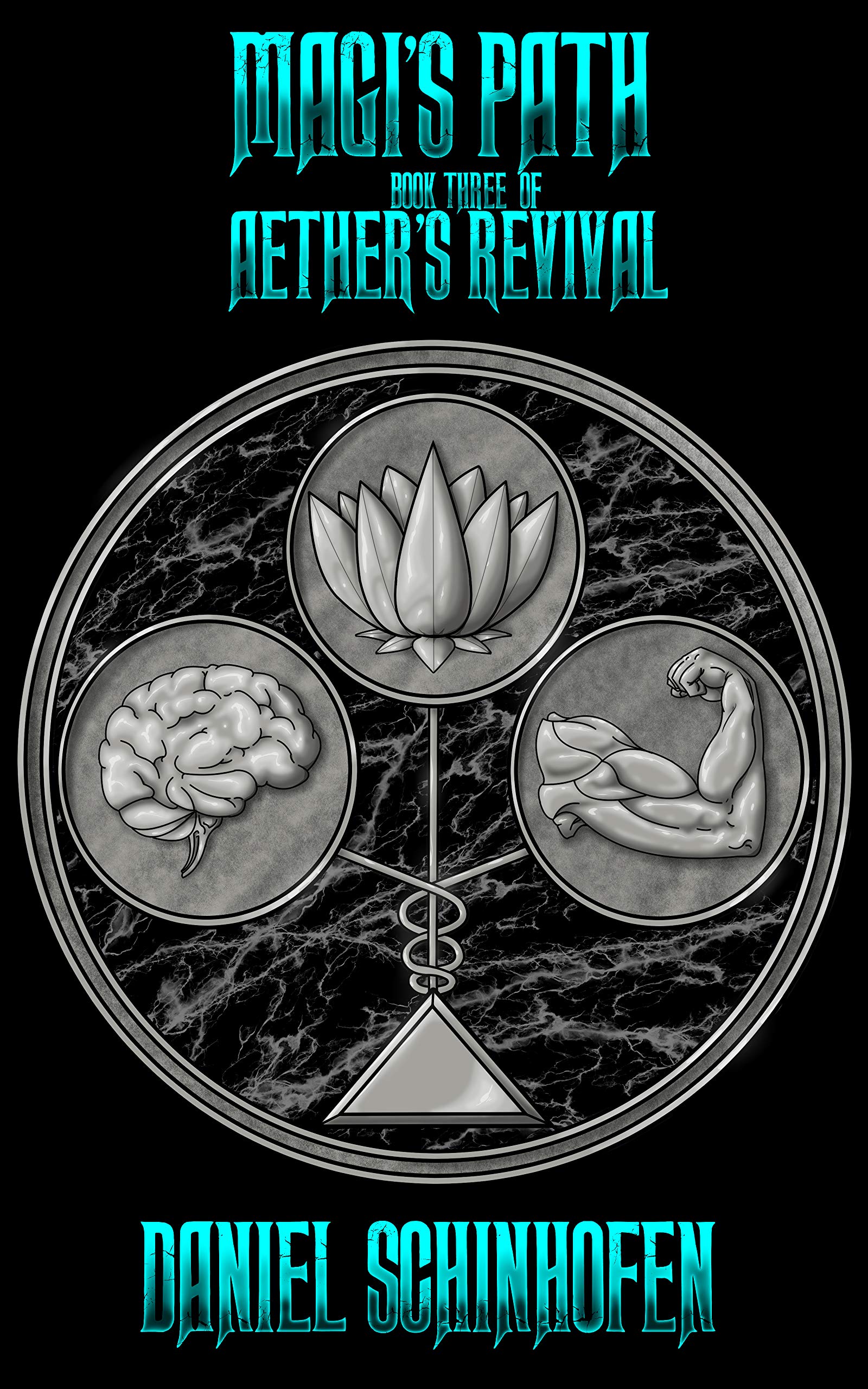 Magi's Path (Aether's Revival, #3)