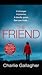 The Friend (DI Joel Norris,...