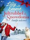 Jultrubbel i Snowdonia by Lilly Emme