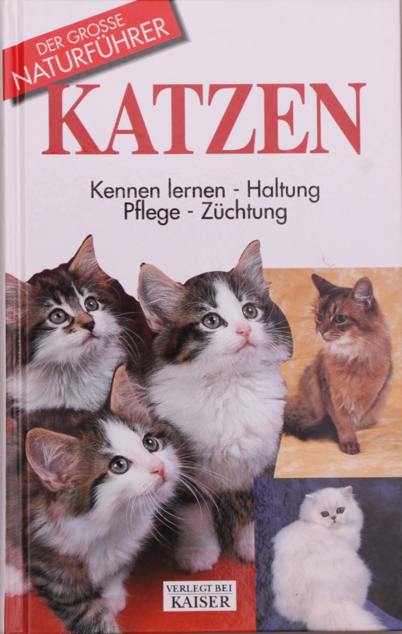 Katzen: Kennen Lernen, Haltung, Pflege, Züchtung (Hardcover)