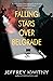 Falling Stars over Belgrade