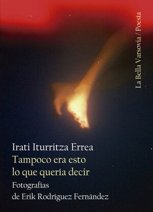 Tampoco era esto lo que quería decir (Paperback)