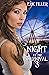 Night at the Carnival 3