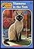 Siamese in the Sun (Animal Ark Summer Special, #7)