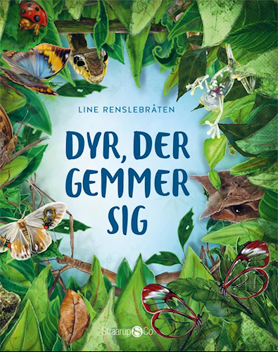 Dyr, der gemmer sig (Hardcover)