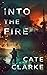 Into The Fire by Cate Clarke