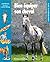 Bien équiper son cheval