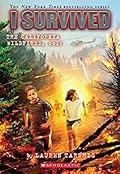 I Survived the California Wildfires, 2018 (I Survived #20) 