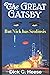 The Great Gatsby: But Nick ...