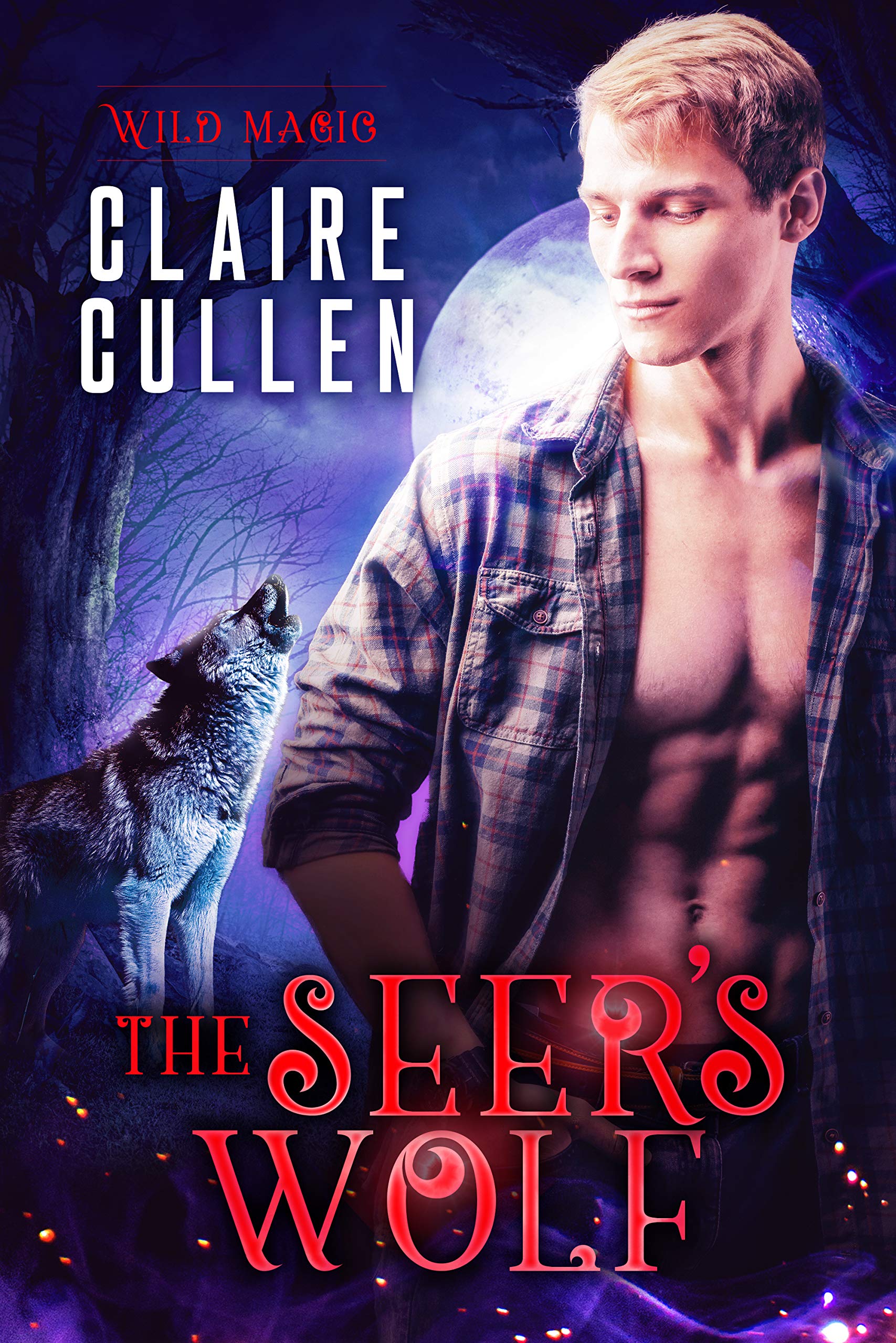 The Seer's Wolf (Wild Magic #2)