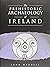 The Prehistoric Archaeology Of Ireland by John Waddell