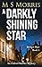 A Darkly Shining Star (Bridget Hart #5)
