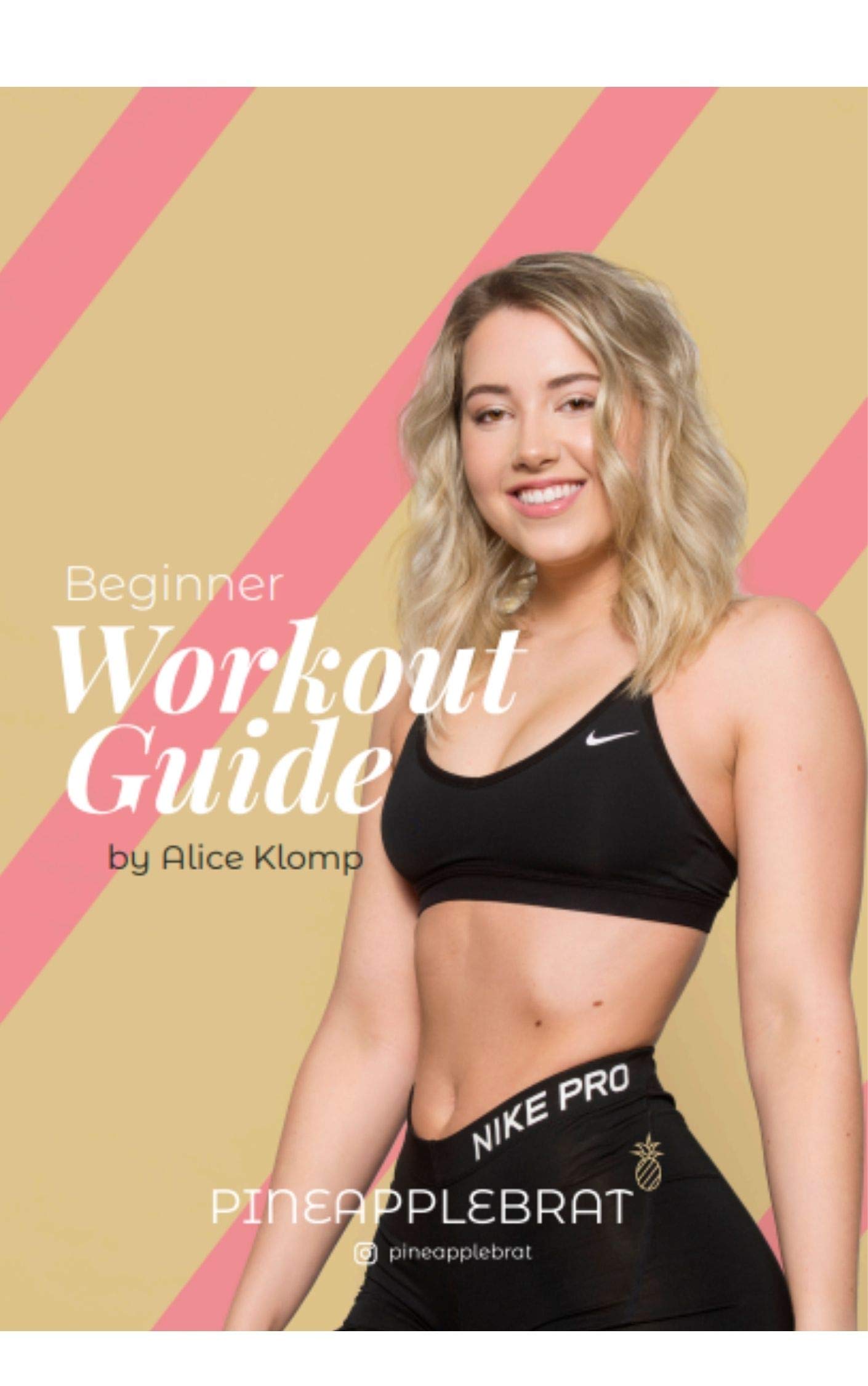 Beginner Workout Guide (Kindle Edition)