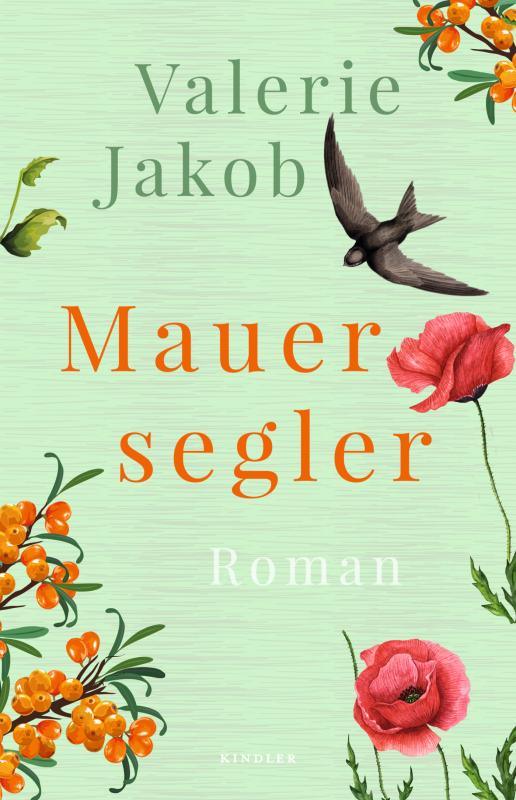 Mauersegler (Paperback)