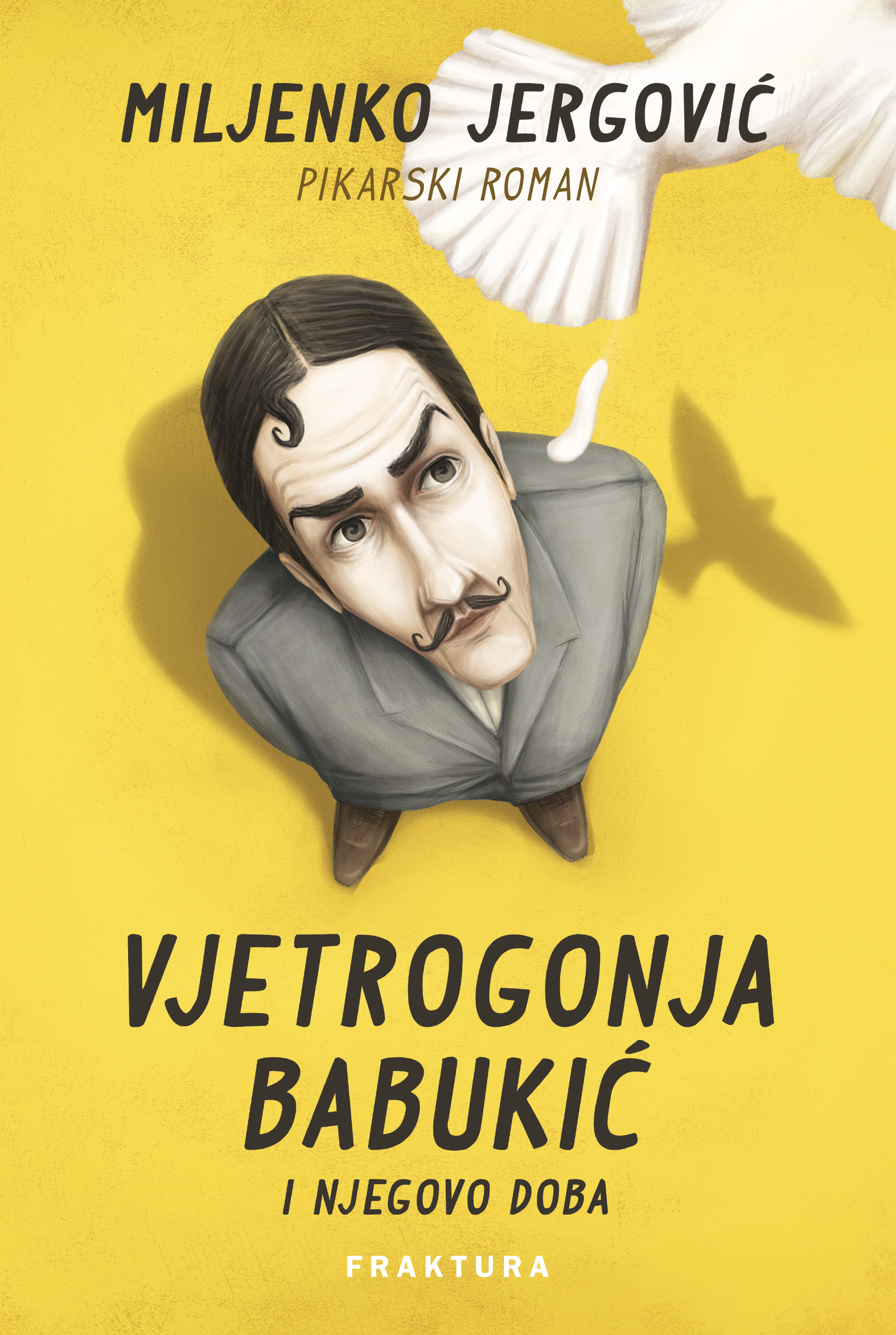Vjetrogonja Babukić i njegovo doba: pikarski roman (Hardcover)