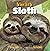The Secret Life of the Sloth