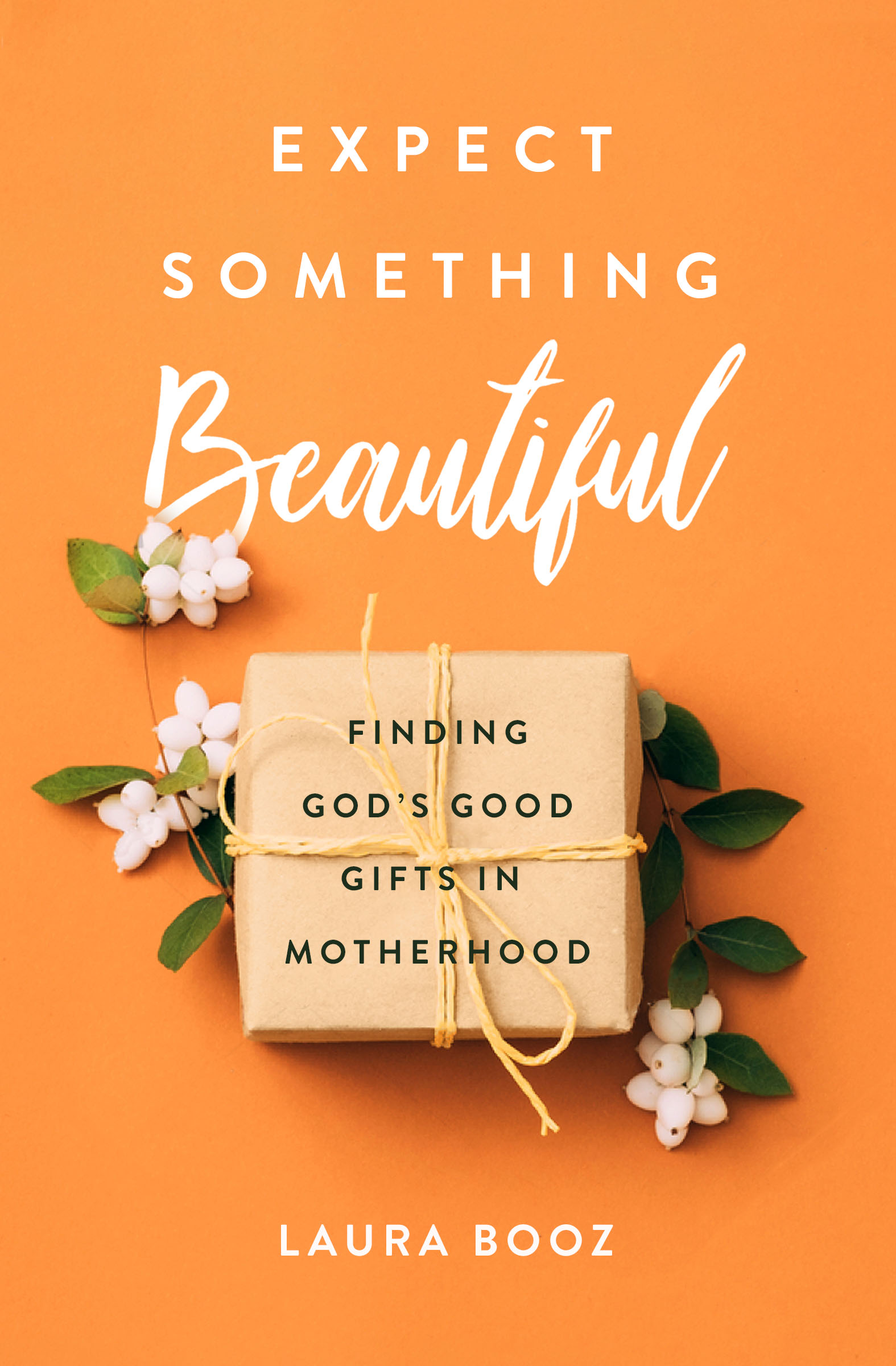 Expect Something Beautiful: Finding God's Good Gifts in Motherhood (Paperback)