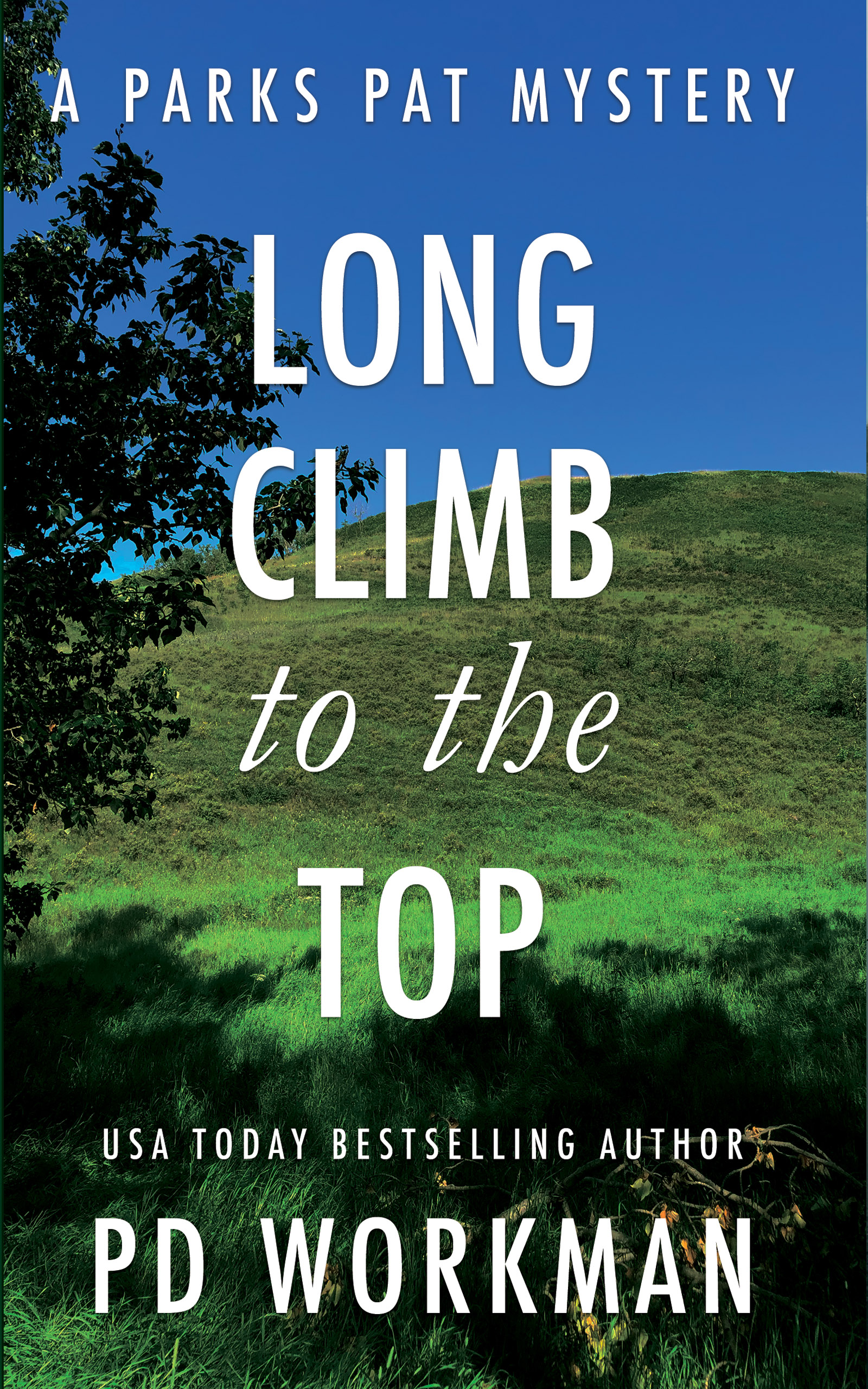 Long Climb to the Top (Parks Pat Mysteries, #2)