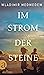 Im Strom der Steine by Vladimir Medvedev